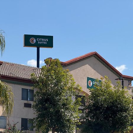 Citrus Suites Redlands Loma Linda Hotel מראה חיצוני תמונה